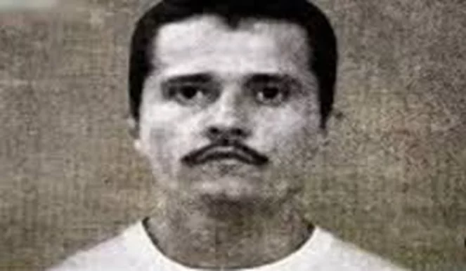 tayyar.org - من هو إل مينشو زعيم الكارتل المكسيكي الخطير الذي قُتل في عملية  عسكرية؟