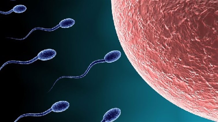 Image result for â«ÙظاÙ
ØºØ°Ø§Ø¦Ù ÙØ®Ùض Ø®ØµÙØ¨Ø© Ø§ÙØ±Ø¬Ø§Ù بÙ
Ù ÙÙÙÙ
Ø§ÙØ£ØµØØ§Ø¡ !â¬â