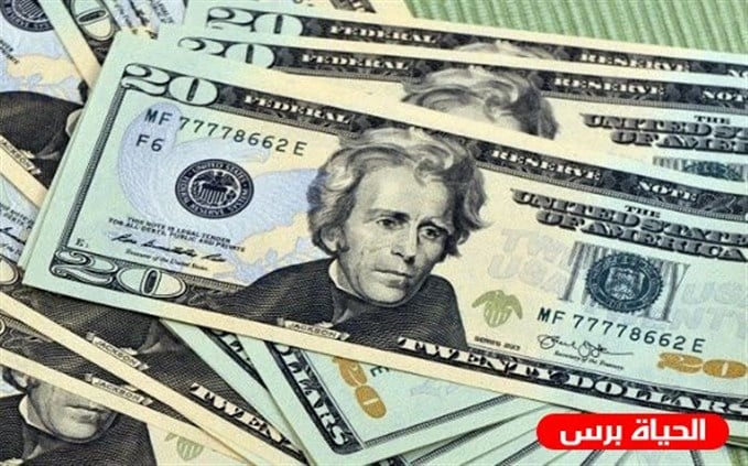 Tayyar Org ارتفاع سعر الدولار اليوم الأحد