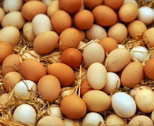 البيض.. الحليف الطبيعي لمن يتوقف عن حقن التخسيس