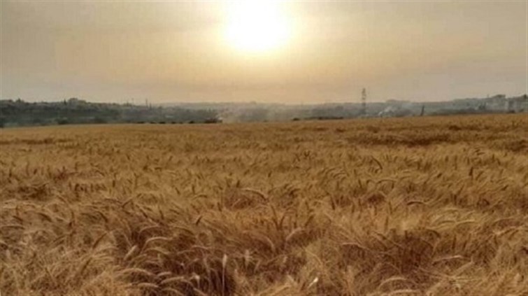 على وقع حرب أوكرانيا.. مخاوف تتعاظم بشأن الأمن الغذائي بتونس على وقع حرب أوكرانيا.. مخاوف تتعاظم بشأن الأمن الغذائي بتونس