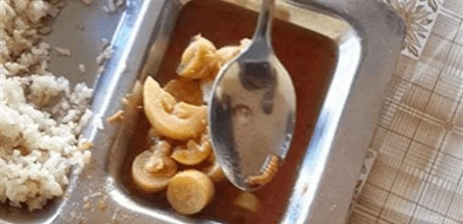 ديدان في وجبة فنانة شهيرة... وهذا ما فعلته! (صورة)